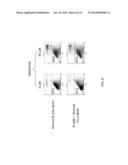 METHODS AND COMPOSITIONS TO ELIMINATE CHRONIC LYMPHOCYTIC LEUKEMIA AND     OTHER HEMATOLOGIC MALIGNANT CELLS IN STROMAL MICROENVIRONMENT FOR CANCER     THERAPY diagram and image