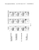 METHODS AND COMPOSITIONS TO ELIMINATE CHRONIC LYMPHOCYTIC LEUKEMIA AND     OTHER HEMATOLOGIC MALIGNANT CELLS IN STROMAL MICROENVIRONMENT FOR CANCER     THERAPY diagram and image