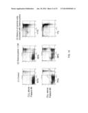 METHODS AND COMPOSITIONS TO ELIMINATE CHRONIC LYMPHOCYTIC LEUKEMIA AND     OTHER HEMATOLOGIC MALIGNANT CELLS IN STROMAL MICROENVIRONMENT FOR CANCER     THERAPY diagram and image