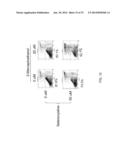 METHODS AND COMPOSITIONS TO ELIMINATE CHRONIC LYMPHOCYTIC LEUKEMIA AND     OTHER HEMATOLOGIC MALIGNANT CELLS IN STROMAL MICROENVIRONMENT FOR CANCER     THERAPY diagram and image