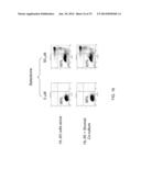 METHODS AND COMPOSITIONS TO ELIMINATE CHRONIC LYMPHOCYTIC LEUKEMIA AND     OTHER HEMATOLOGIC MALIGNANT CELLS IN STROMAL MICROENVIRONMENT FOR CANCER     THERAPY diagram and image