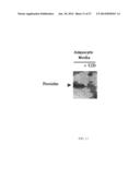 COMPOSITIONS, METHODS AND KITS RELATING TO RESISTIN diagram and image