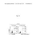 CANCER IMMUNOPOTENTIATING AGENT CONTAINING RANKL ANTAGONIST diagram and image