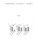 CANCER IMMUNOPOTENTIATING AGENT CONTAINING RANKL ANTAGONIST diagram and image