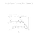 ANTI-CD79B ANTIBODIES AND IMMUNOCONJUGATES diagram and image