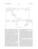 ANTI-CD79B ANTIBODIES AND IMMUNOCONJUGATES diagram and image