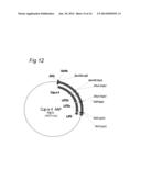 NEW ADJUVANT diagram and image