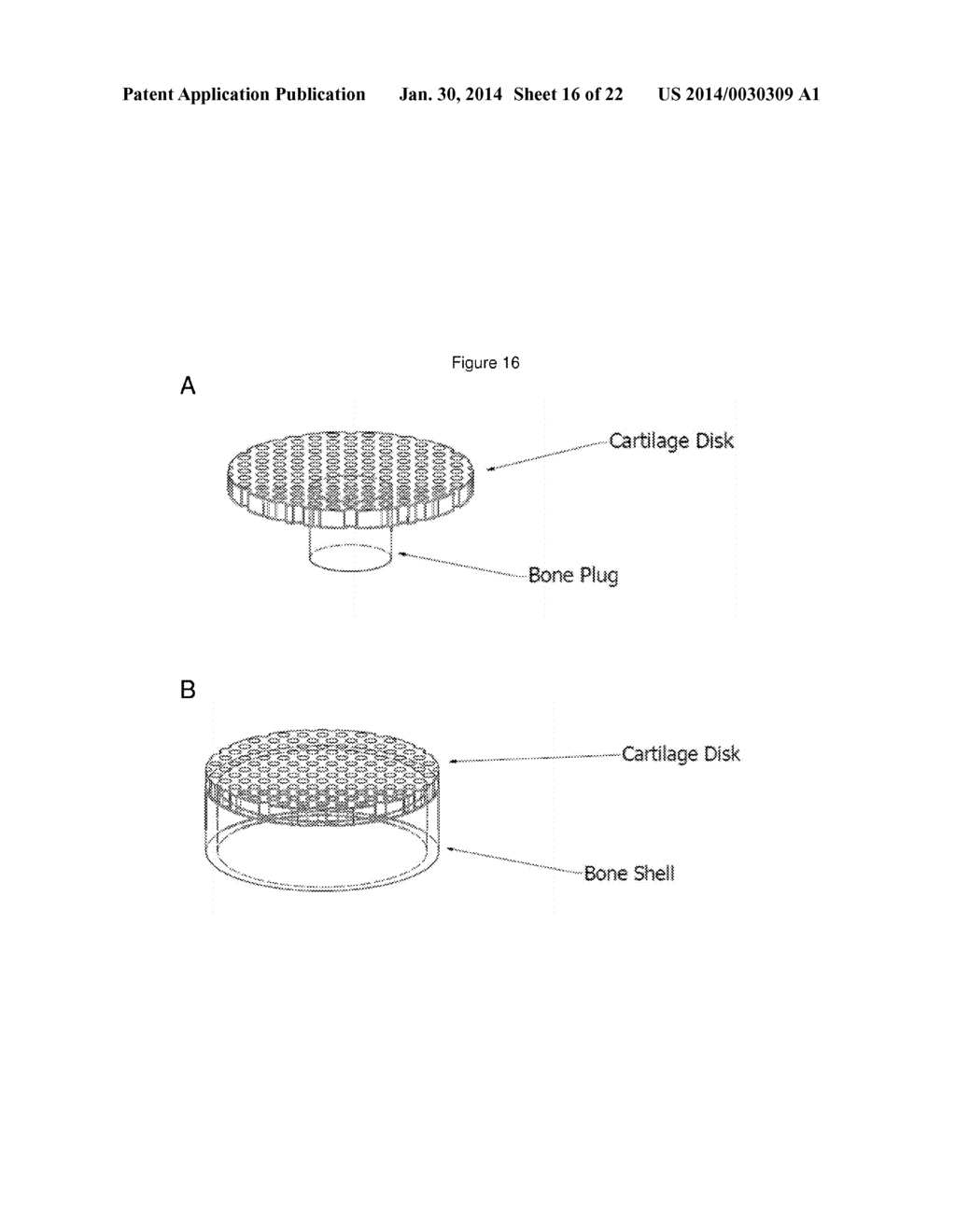 DISRUPTED CARTILAGE PRODUCTS - diagram, schematic, and image 17