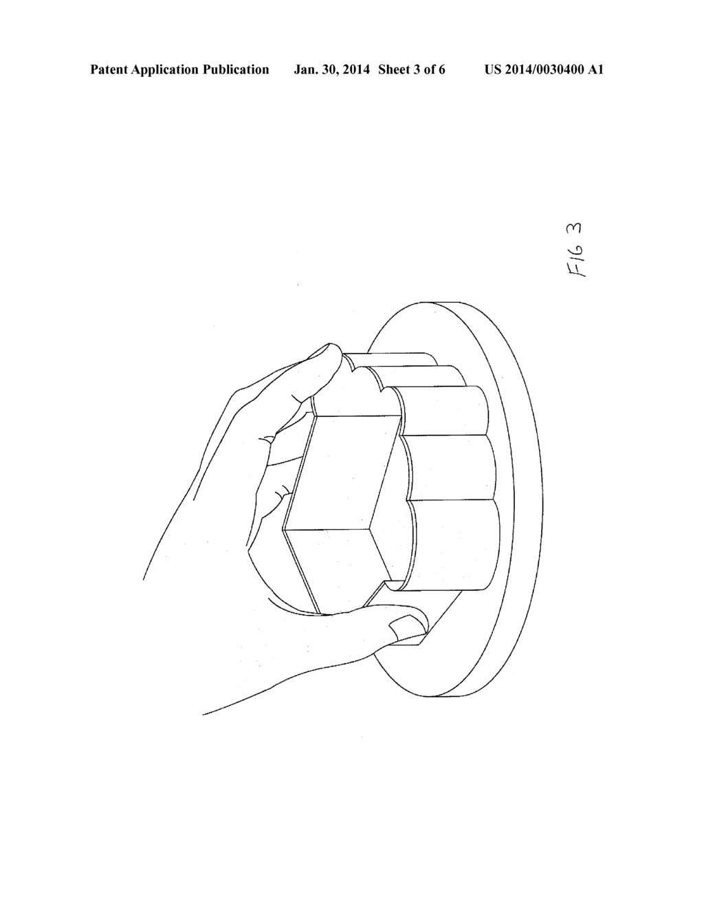 Process for Preparing Fruit Arrangements utilizing Coated Pineapple - diagram, schematic, and image 04