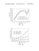 Method for Making Porous Materials diagram and image