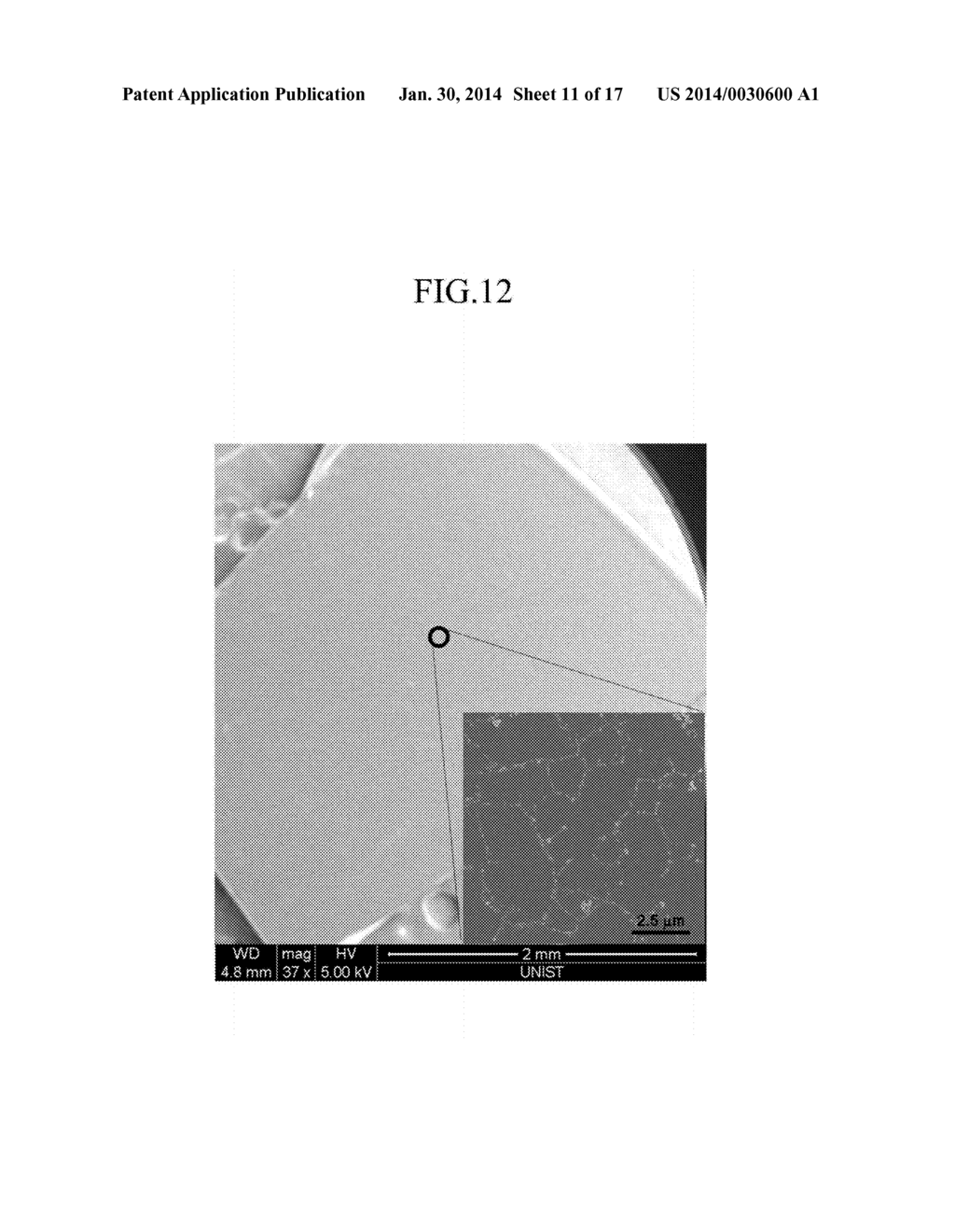 GRAPHENE SHEET, TRANSPARENT ELECTRODE AND ACTIVE LAYER INCLUDING THE SAME,     AND DISPLAY, ELECTRONIC DEVICE, OPTOELECTRONIC DEVICE, BATTERY, SOLAR     CELL, AND DYE-SENSITIZED SOLAR CELL INCLUDING TRANSPARENT ELECTRODE OR     ACTIVE LAYER - diagram, schematic, and image 12