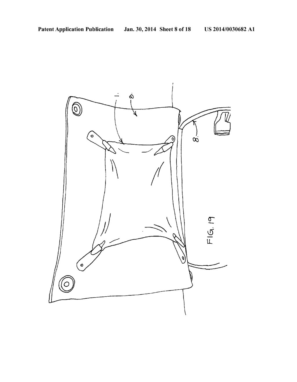 TRAINING DEVICE AND METHOD FOR SPAYING AND/OR SUTURING ANIMALS - diagram, schematic, and image 09