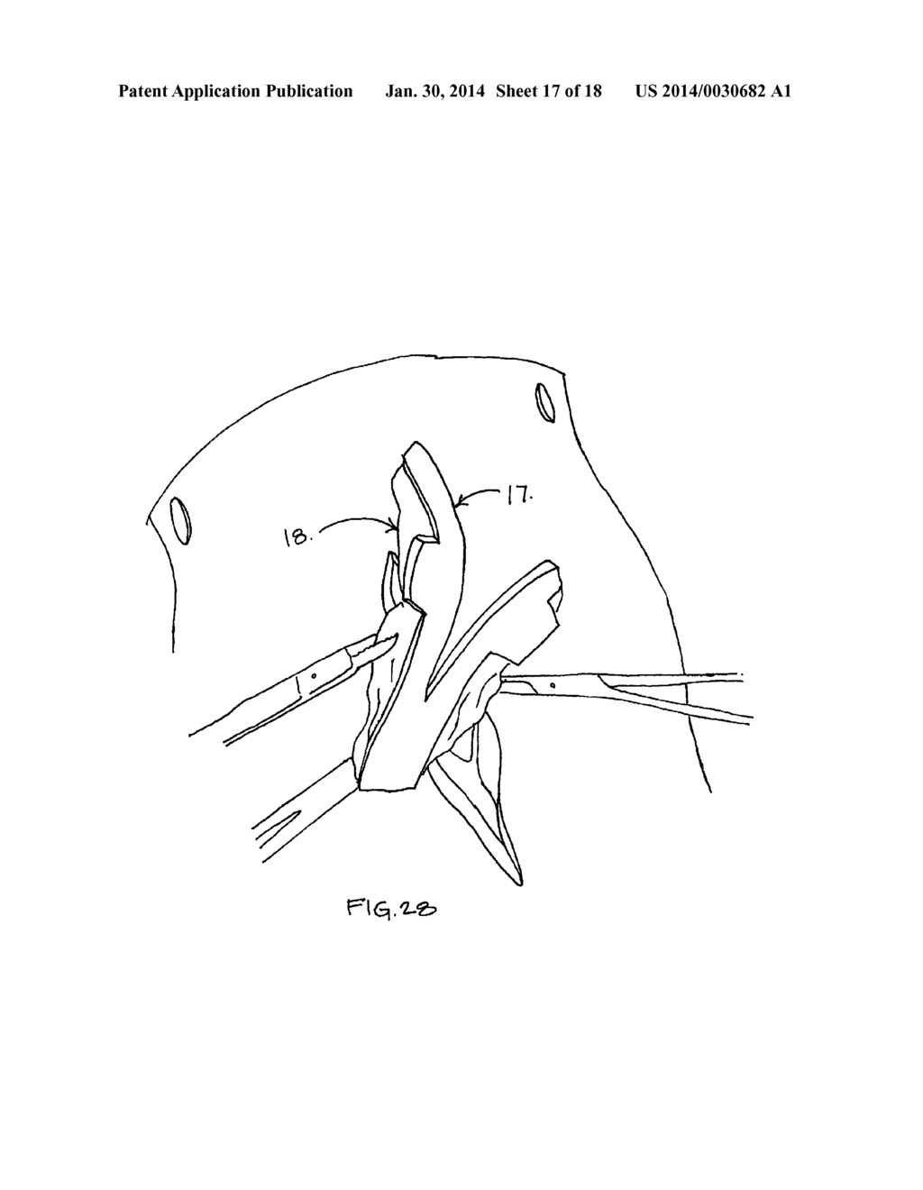 TRAINING DEVICE AND METHOD FOR SPAYING AND/OR SUTURING ANIMALS - diagram, schematic, and image 18