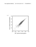 METHODS OF IDENTIFYING A CELLULAR NASCENT RNA TRANSCRIPT diagram and image