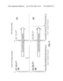 MICROFLUIDIC HPLC-CHIP FOR GLYCOPEPTIDE ANALYSIS WITH INTEGRATED HILIC     ENRICHMENT diagram and image