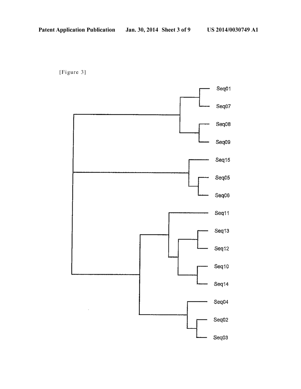 MODIFIED GLUCOSE DEHYDROGENASE - diagram, schematic, and image 04