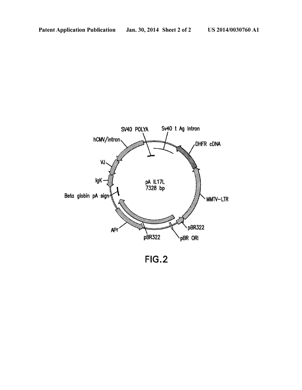 PAVEC - diagram, schematic, and image 03