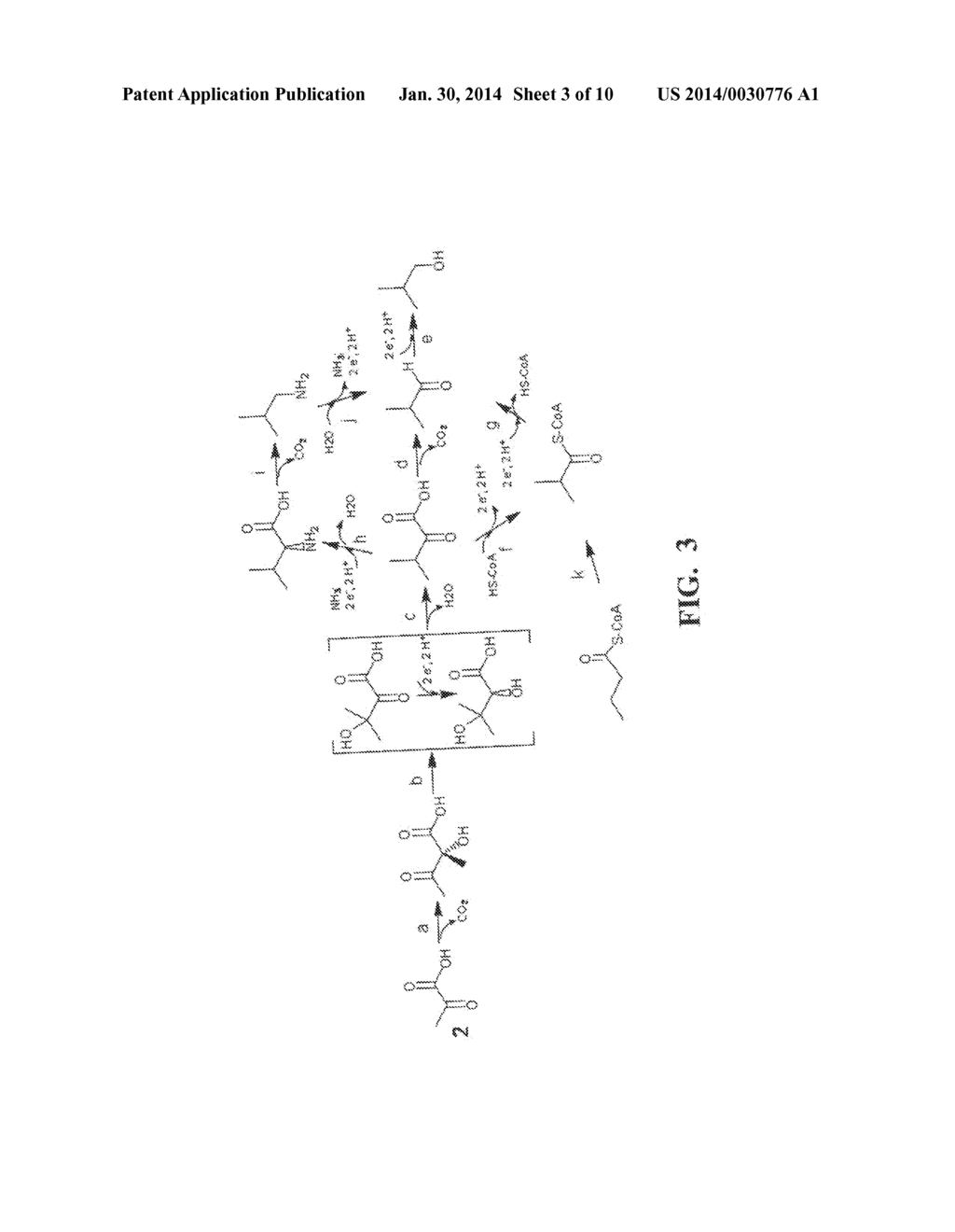 IDENTIFICATION AND USE OF BACTERIAL [2Fe-2S] DIHYDROXY-ACID DEHYDRATASES - diagram, schematic, and image 04