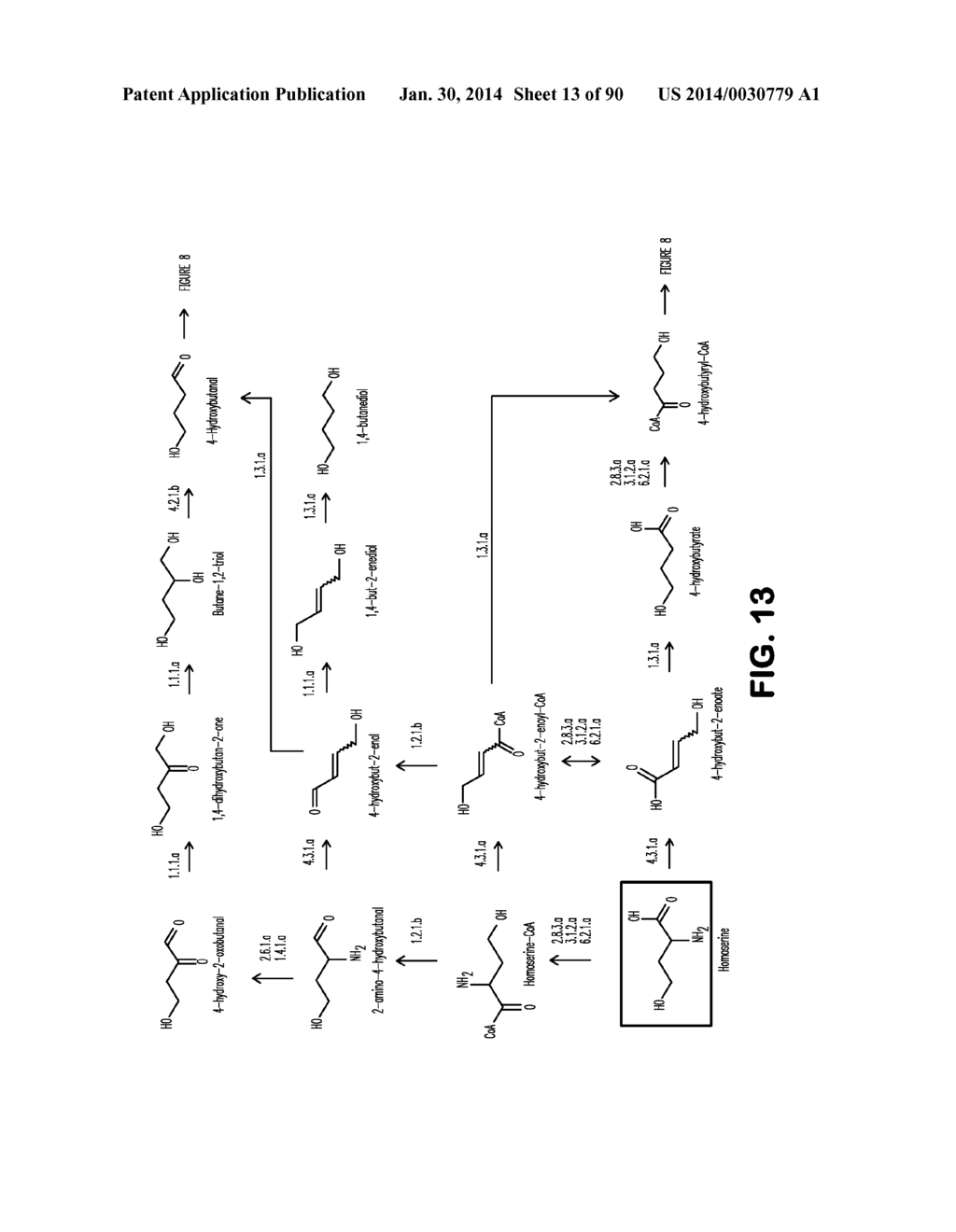 MICROORGANISMS AND METHODS FOR PRODUCTION OF 4-HYDROXYBUTYRATE,     1,4-BUTANEDIOL AND RELATED COMPOUNDS - diagram, schematic, and image 14