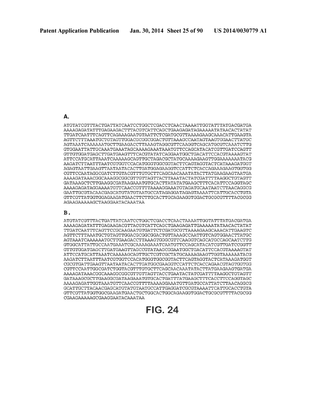 MICROORGANISMS AND METHODS FOR PRODUCTION OF 4-HYDROXYBUTYRATE,     1,4-BUTANEDIOL AND RELATED COMPOUNDS - diagram, schematic, and image 26