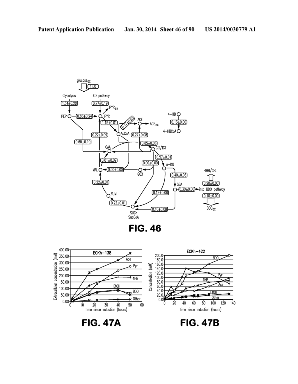 MICROORGANISMS AND METHODS FOR PRODUCTION OF 4-HYDROXYBUTYRATE,     1,4-BUTANEDIOL AND RELATED COMPOUNDS - diagram, schematic, and image 47