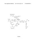 METHODS AND ORGANISMS FOR THE GROWTH-COUPLED PRODUCTION OF 1,4-BUTANEDIOL diagram and image