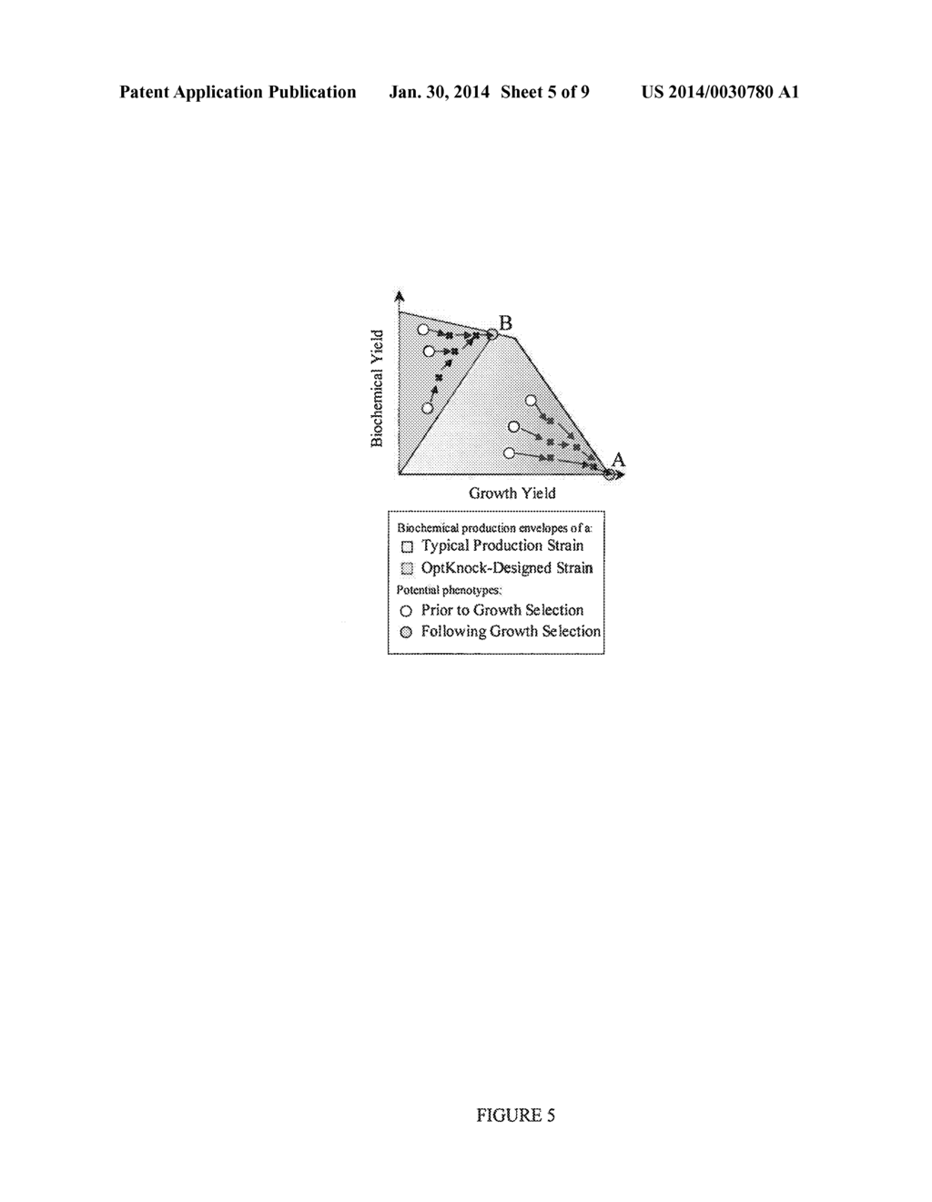 METHODS AND ORGANISMS FOR THE GROWTH-COUPLED PRODUCTION OF 1,4-BUTANEDIOL - diagram, schematic, and image 06