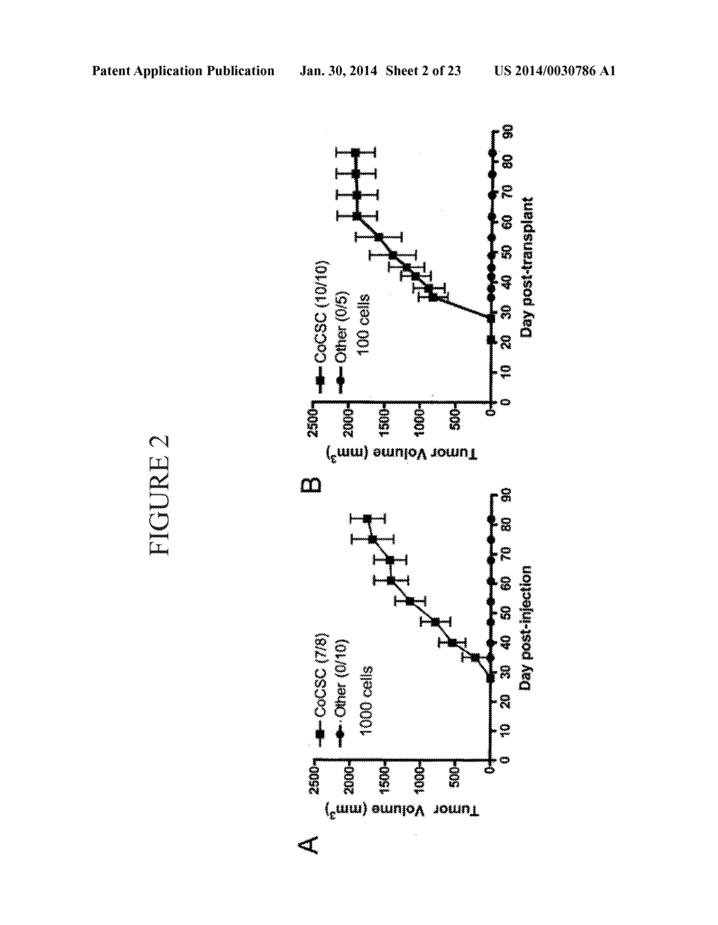 COMPOSITIONS AND METHODS FOR TREATING AND DIAGNOSING CANCER - diagram, schematic, and image 03