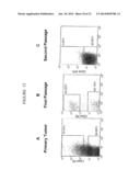 COMPOSITIONS AND METHODS FOR TREATING AND DIAGNOSING CANCER diagram and image