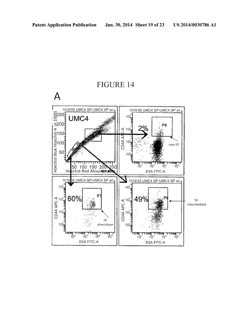 COMPOSITIONS AND METHODS FOR TREATING AND DIAGNOSING CANCER - diagram, schematic, and image 20