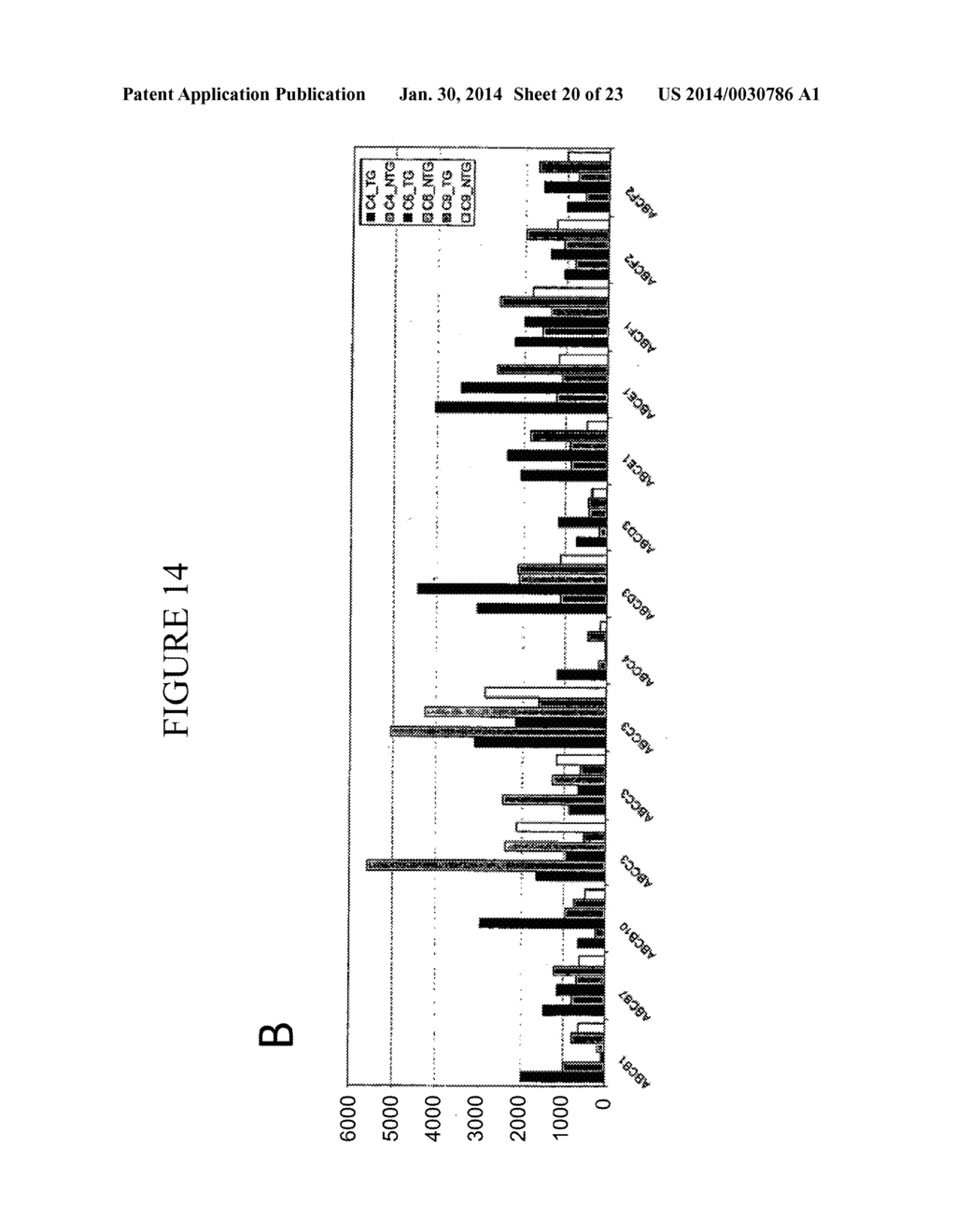 COMPOSITIONS AND METHODS FOR TREATING AND DIAGNOSING CANCER - diagram, schematic, and image 21