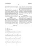 Mutant MT-SP1 proteases with altered substrate specificity or activity diagram and image