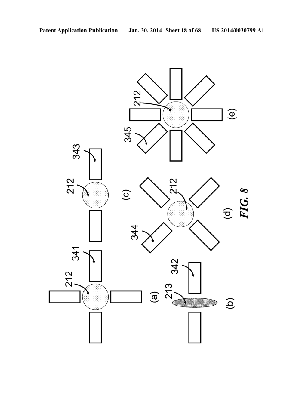 APPARATUS FOR DETECTING TUMOR CELLS - diagram, schematic, and image 19