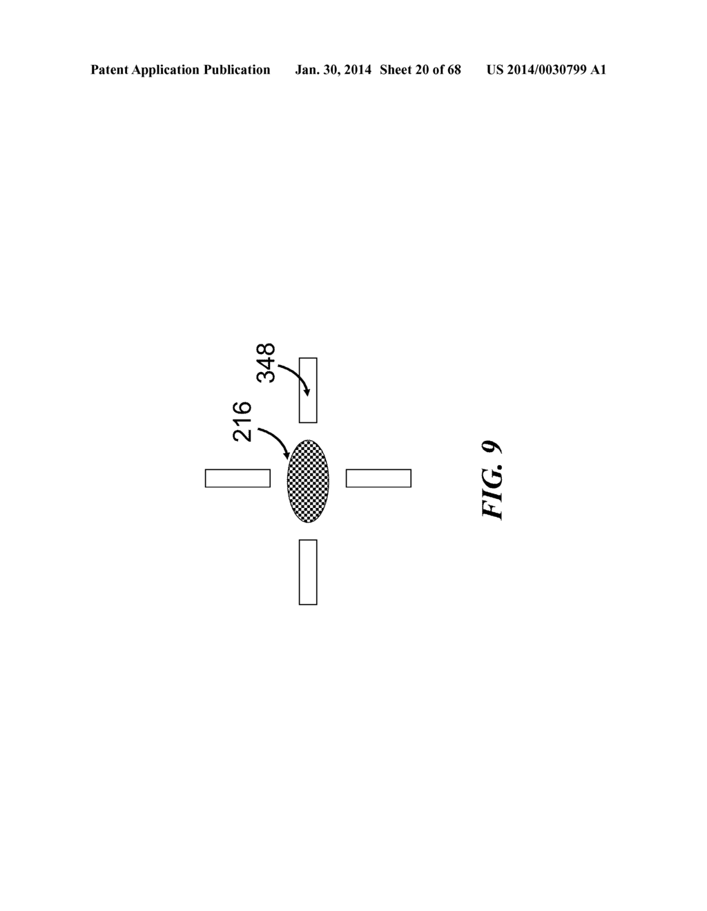 APPARATUS FOR DETECTING TUMOR CELLS - diagram, schematic, and image 21