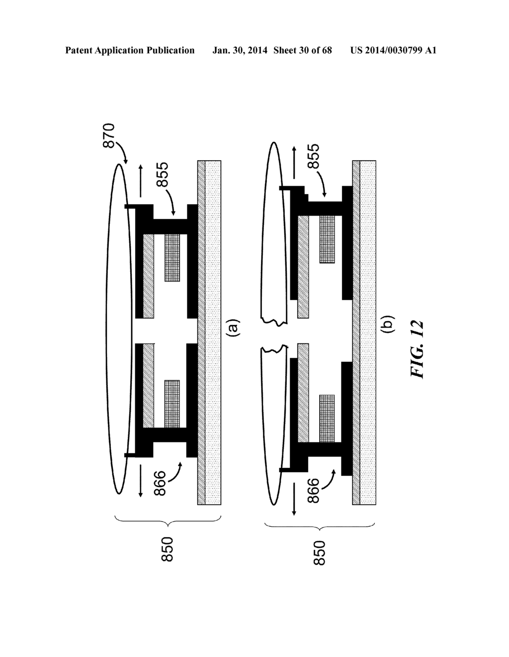 APPARATUS FOR DETECTING TUMOR CELLS - diagram, schematic, and image 31