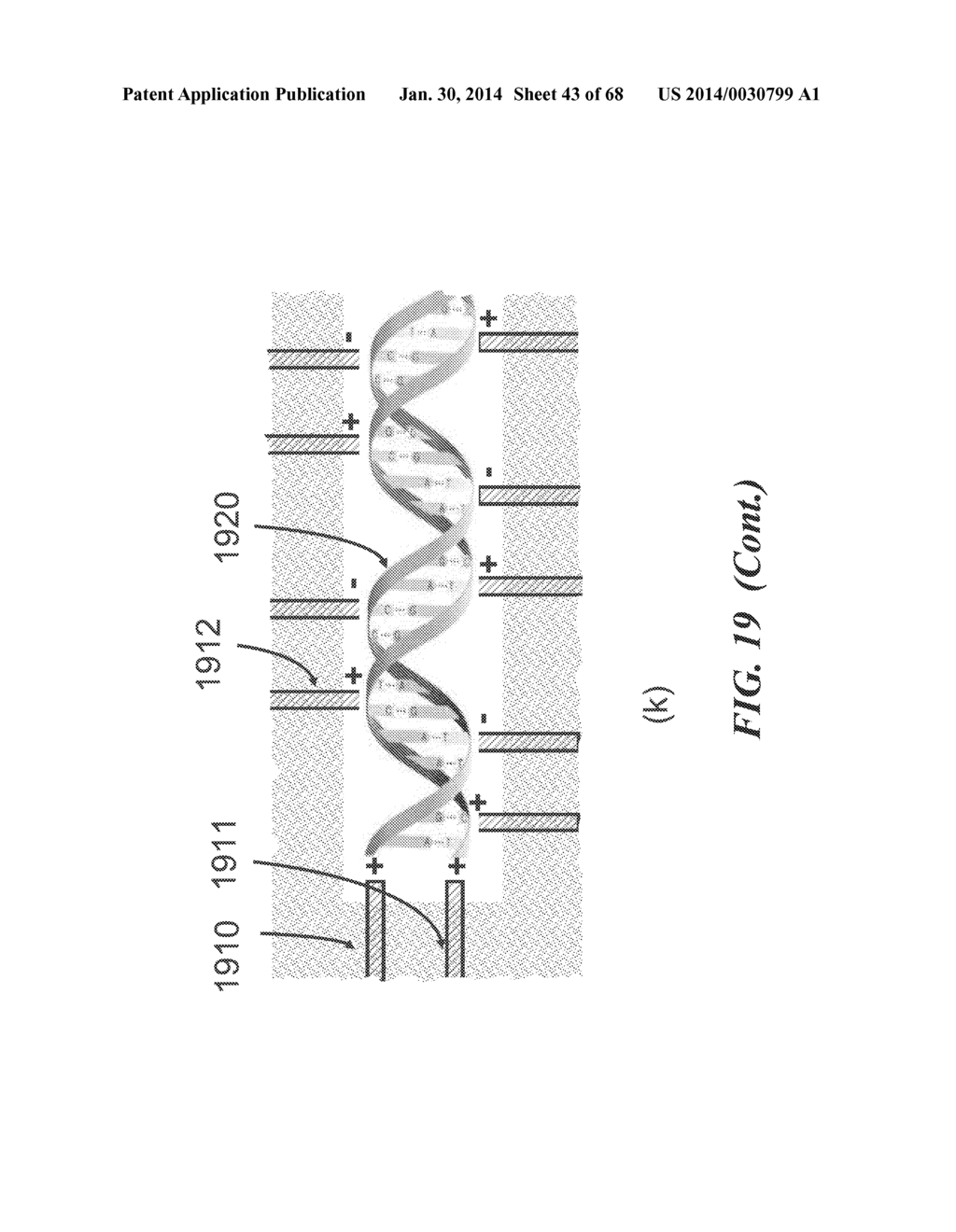 APPARATUS FOR DETECTING TUMOR CELLS - diagram, schematic, and image 44