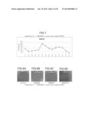 Animal Cell Culture Kit, Method for Culturing Animal Cells, Method for     Selective Culture of Animal Cells and Cell Differentiation Method diagram and image