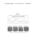 Animal Cell Culture Kit, Method for Culturing Animal Cells, Method for     Selective Culture of Animal Cells and Cell Differentiation Method diagram and image