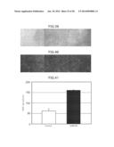 Animal Cell Culture Kit, Method for Culturing Animal Cells, Method for     Selective Culture of Animal Cells and Cell Differentiation Method diagram and image