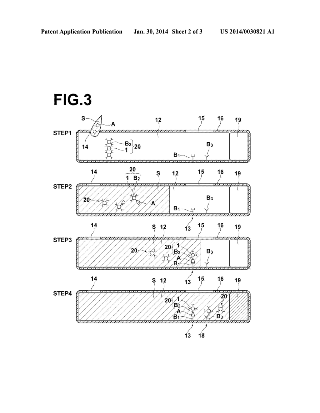 LOCALIZED PLASMON ENHANCING FLUORESCENCE PARTICLES, LOCALIZED PLASMON     ENHANCED FLUORESCENCE DETECTING CARRIER, LOCALIZED PLASMON ENHANCED     FLUORESCENCE DETECTING APPARATUS, AND FLUORESCENCE DETECTING METHOD - diagram, schematic, and image 03