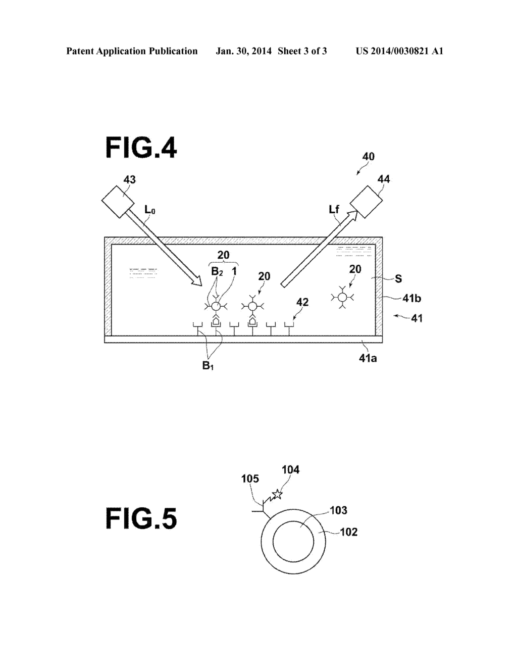 LOCALIZED PLASMON ENHANCING FLUORESCENCE PARTICLES, LOCALIZED PLASMON     ENHANCED FLUORESCENCE DETECTING CARRIER, LOCALIZED PLASMON ENHANCED     FLUORESCENCE DETECTING APPARATUS, AND FLUORESCENCE DETECTING METHOD - diagram, schematic, and image 04