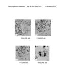 PHOTOCATALYTIC METHODS FOR PREPARATION OF ELECTROCATALYST MATERIALS diagram and image