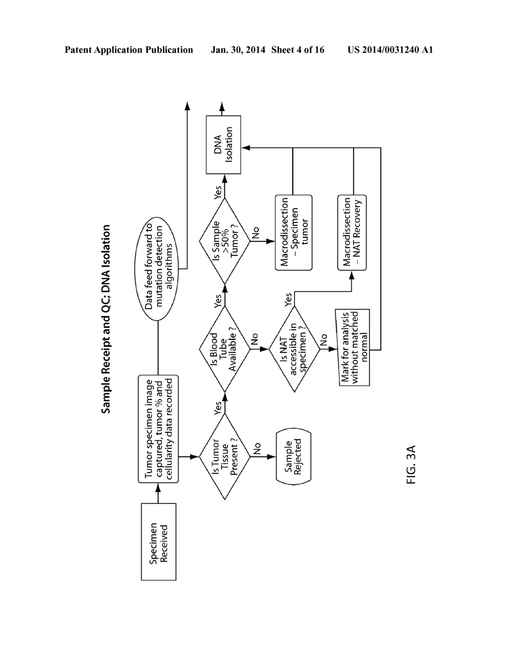 TM-ENHANCED BLOCKING OLIGONUCLEOTIDES AND BAITS FOR IMPROVED TARGET     ENRICHMENT AND REDUCED OFF-TARGET SELECTION - diagram, schematic, and image 05