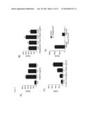 METHODS AND COMPOSITIONS FOR GAMMA-SECRETASE ASSAY diagram and image