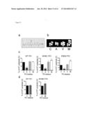 METHODS AND COMPOSITIONS FOR GAMMA-SECRETASE ASSAY diagram and image