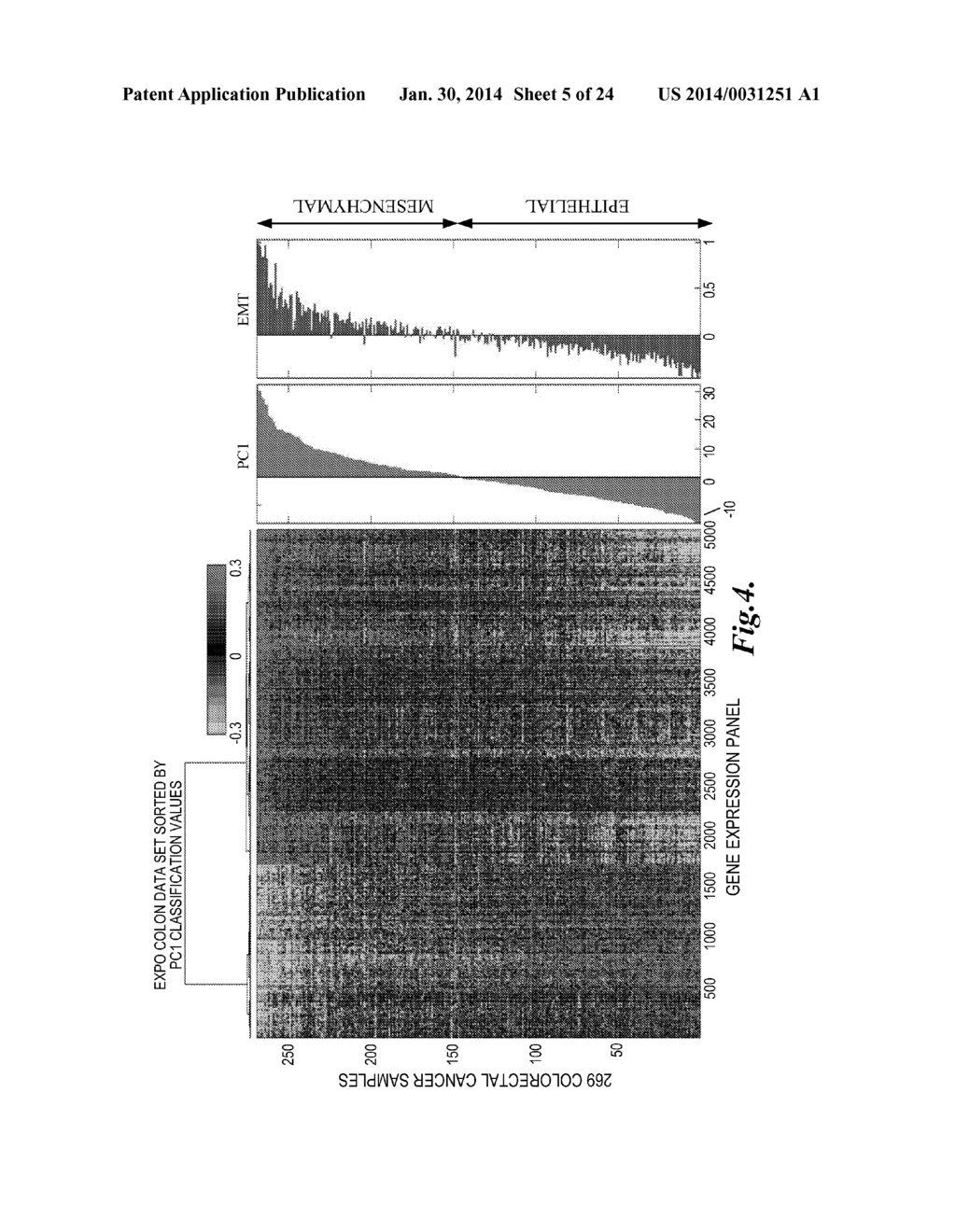 METHODS OF CLASSIFYING HUMAN SUBJECTS WITH REGARD TO CANCER PROGNOSIS - diagram, schematic, and image 06