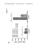 COMPOSITIONS AND METHODS FOR THE DIAGNOSIS AND TREATMENT OF INLAMMATORY     DISORDERS AND FIBROTIC DISEASE diagram and image