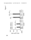 COMPOSITIONS AND METHODS FOR THE DIAGNOSIS AND TREATMENT OF INLAMMATORY     DISORDERS AND FIBROTIC DISEASE diagram and image