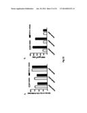 COMPOSITIONS AND METHODS FOR THE DIAGNOSIS AND TREATMENT OF INLAMMATORY     DISORDERS AND FIBROTIC DISEASE diagram and image