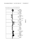 DETECTION OF CHROMOSOMAL ABNORMALITIES ASSOCIATED WITH ENDOMETRIAL CANCER diagram and image